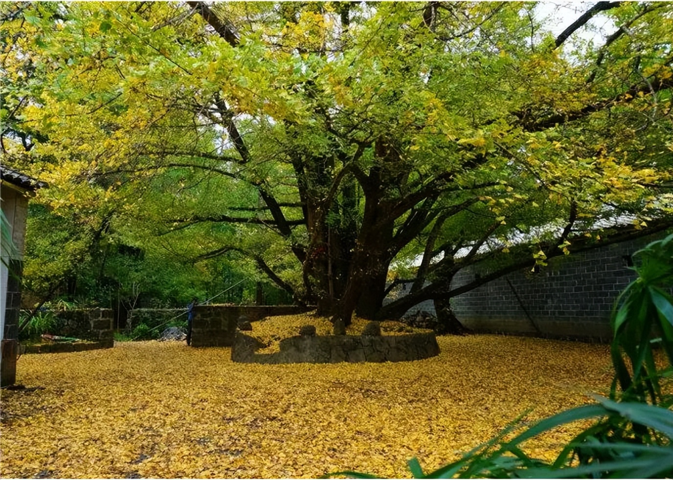 五一人少川西小众旅游地,南方五一2-3天小众旅游