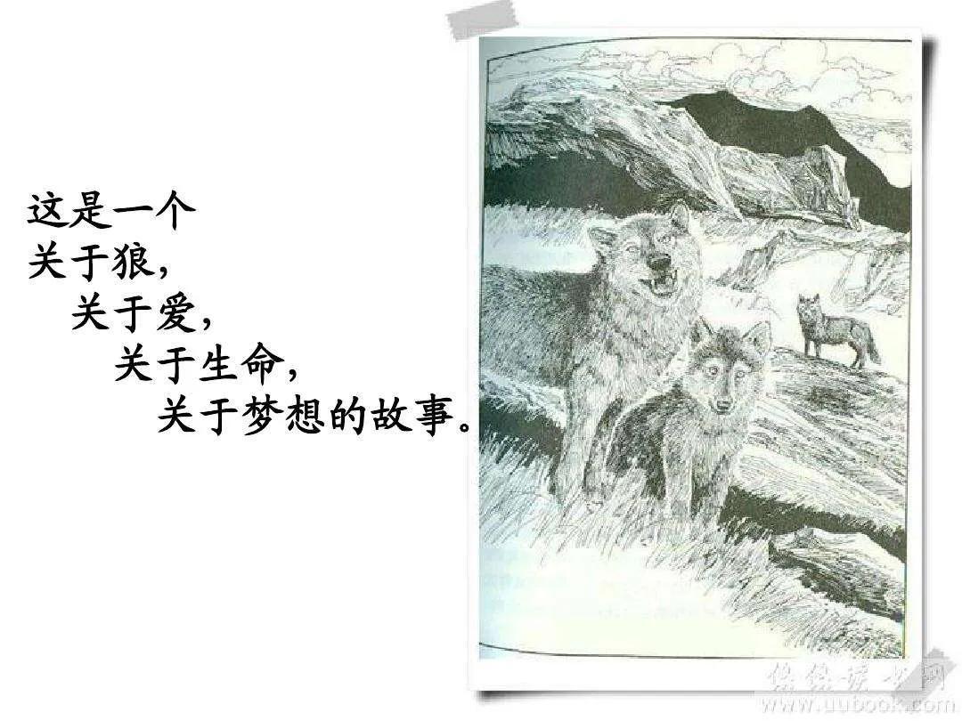 虎年——《狼王梦》