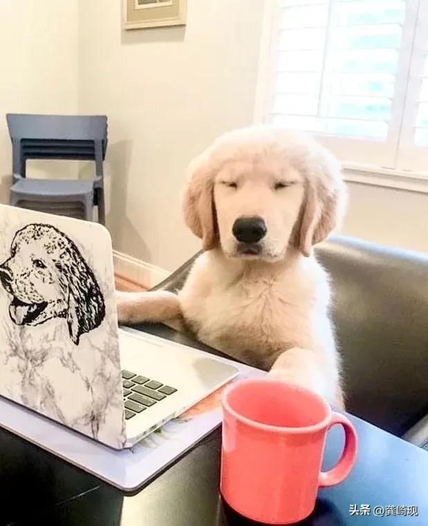 策划运作商业模式,策划商业模式要注意什么