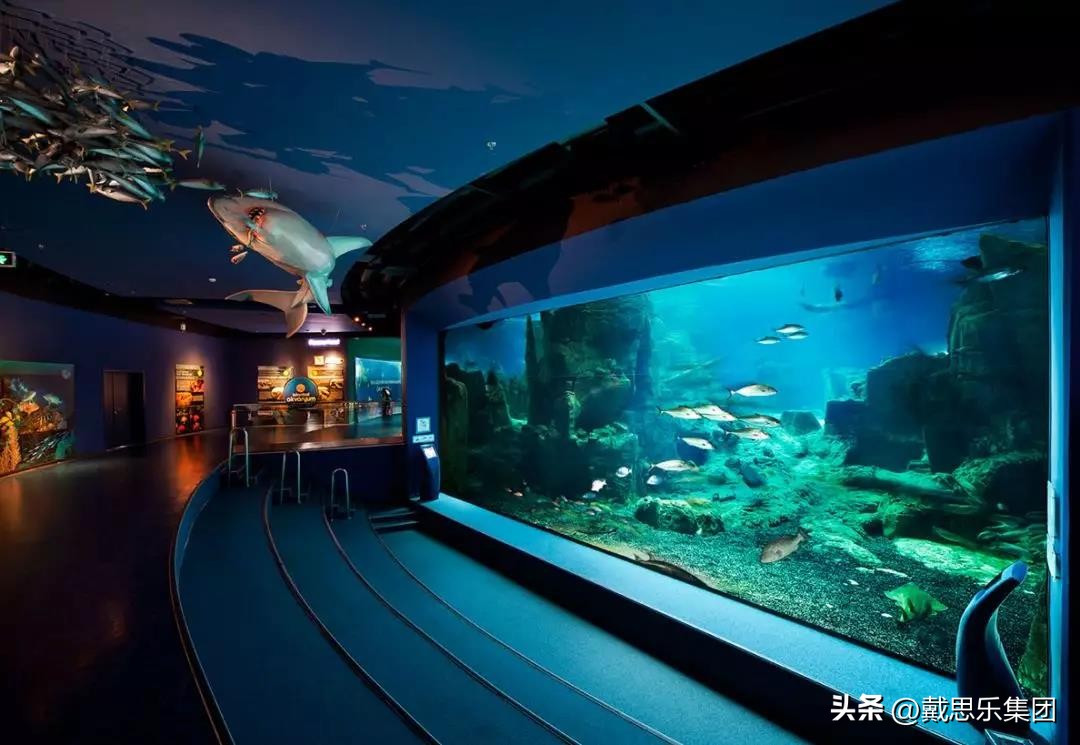 湖北海洋馆水处理设备哪家好,海洋馆水处理设备哪个品牌比较好