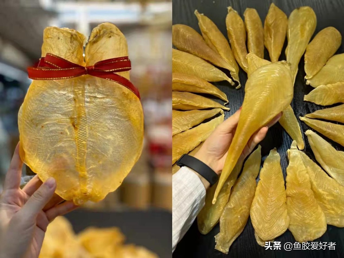 白花胶跟黄花胶的价格,白花胶顶级花胶价格表