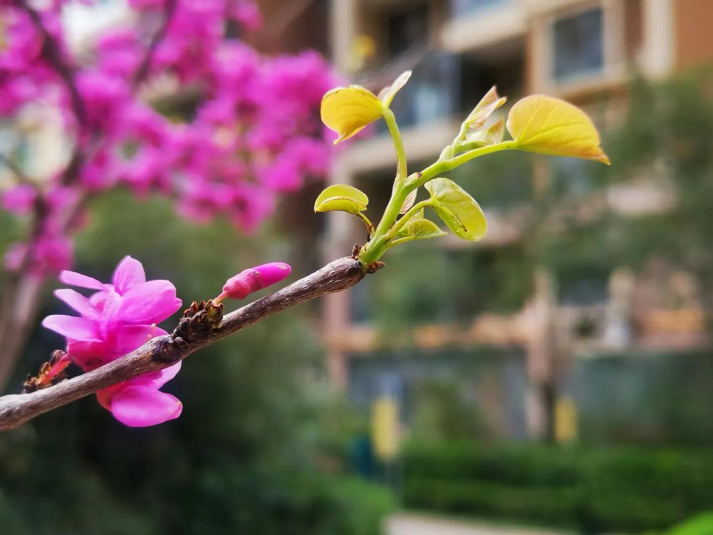 精华美文：学生写学生！小作者与西瓜小兄弟的故事很精彩