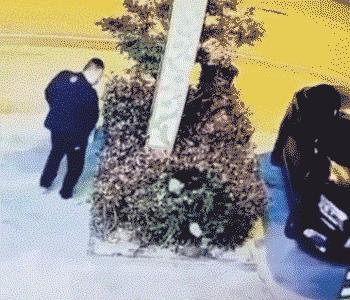 「被窝段子20221101」生命中的全部偶然其实都是命中注定