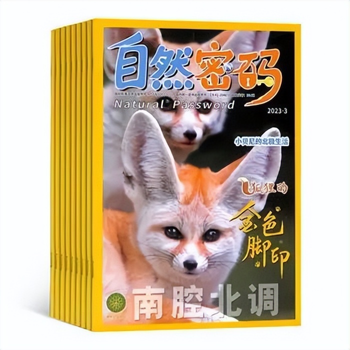 小学生暑假必读分级课外书目录,2024年寒假小学生必读书目