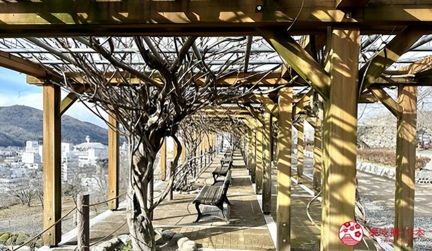 冈山津山,冈山区景点