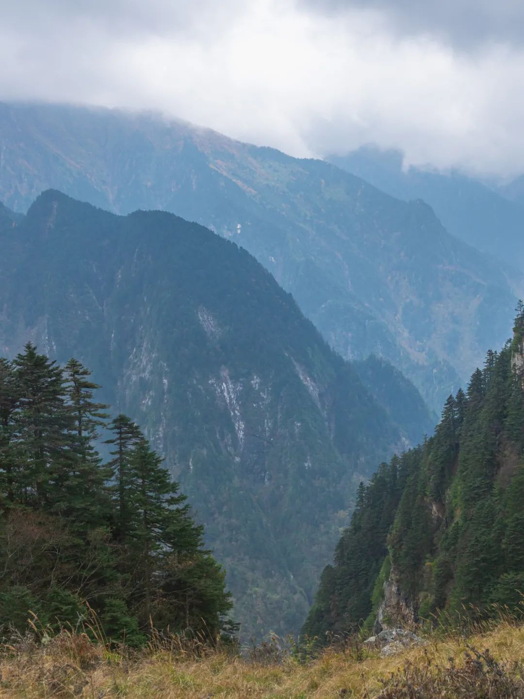 登太白山感受,太白山景区登顶拔仙台