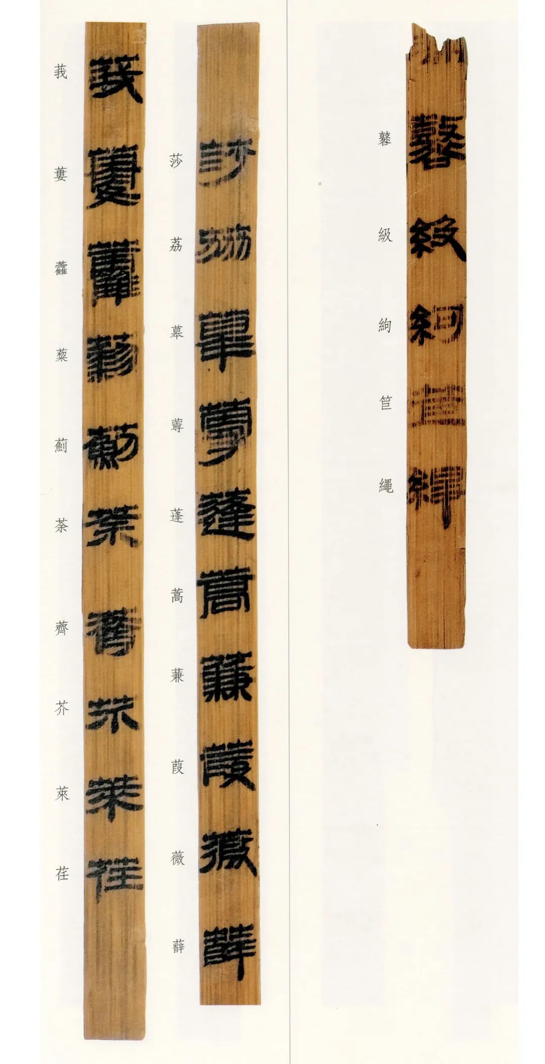 西汉竹书,西汉竹简草隶书法作品