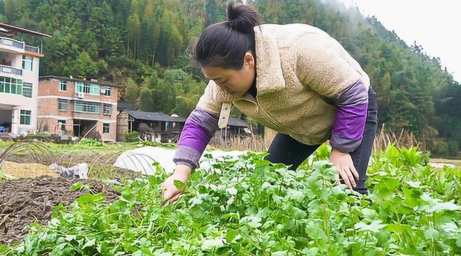 闺蜜故意设圈套,闺蜜设的圈套