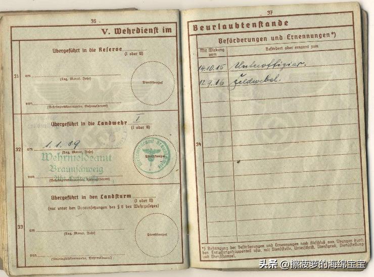 二战时德国军人的肩章,二战德国兵种领章