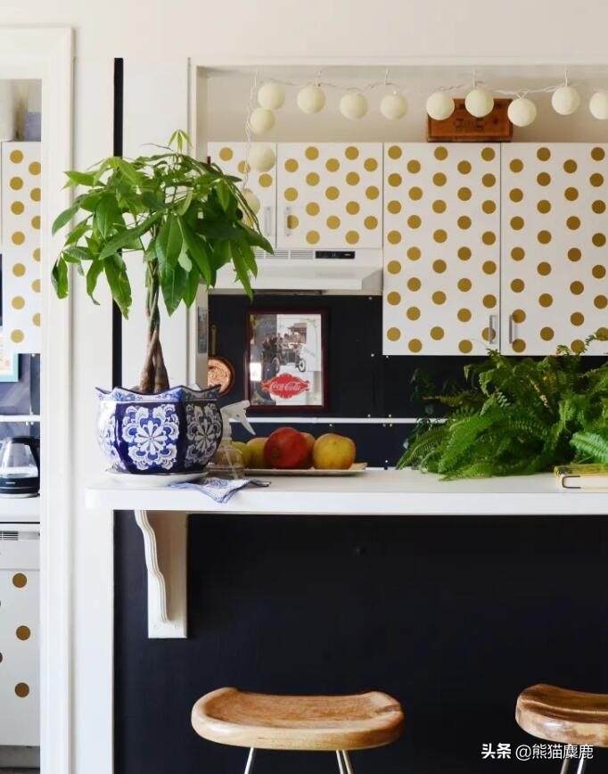 摇钱树怎么浇水才能多发芽,植物摇钱树怎么养图片