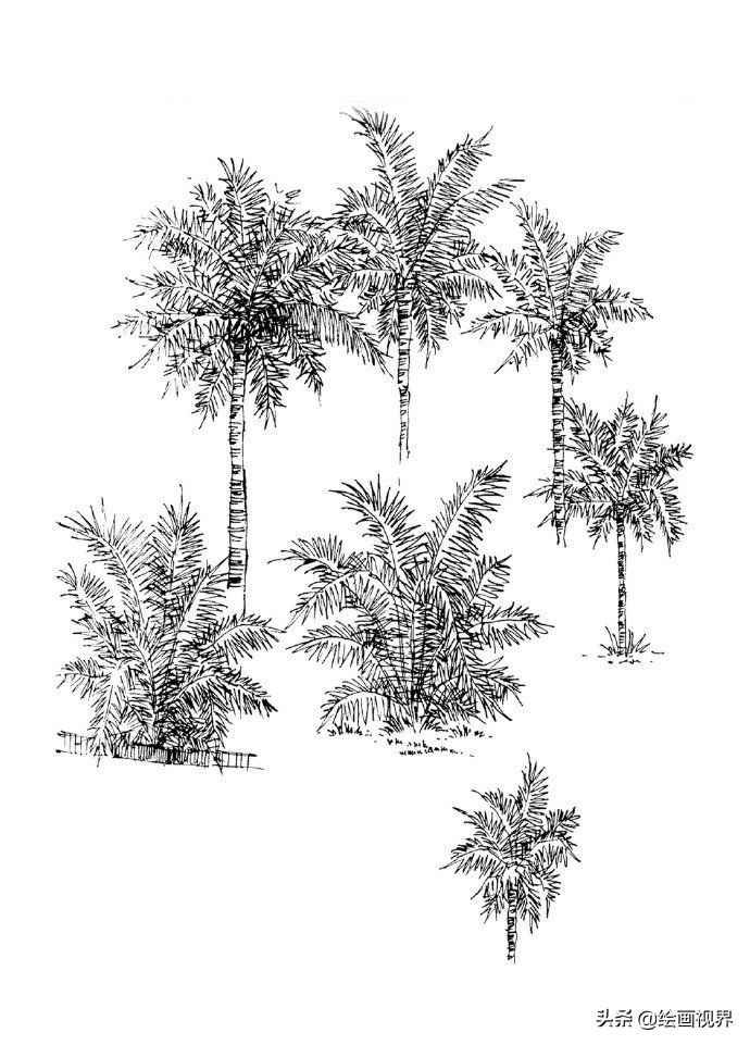 零基础不懂得绘画,速写风景简单入门视频树木石头