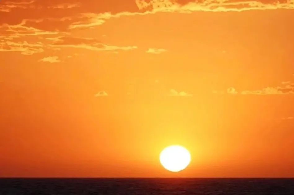 黄嘻嘻在澳洲,黄嘻嘻的澳洲闯荡记