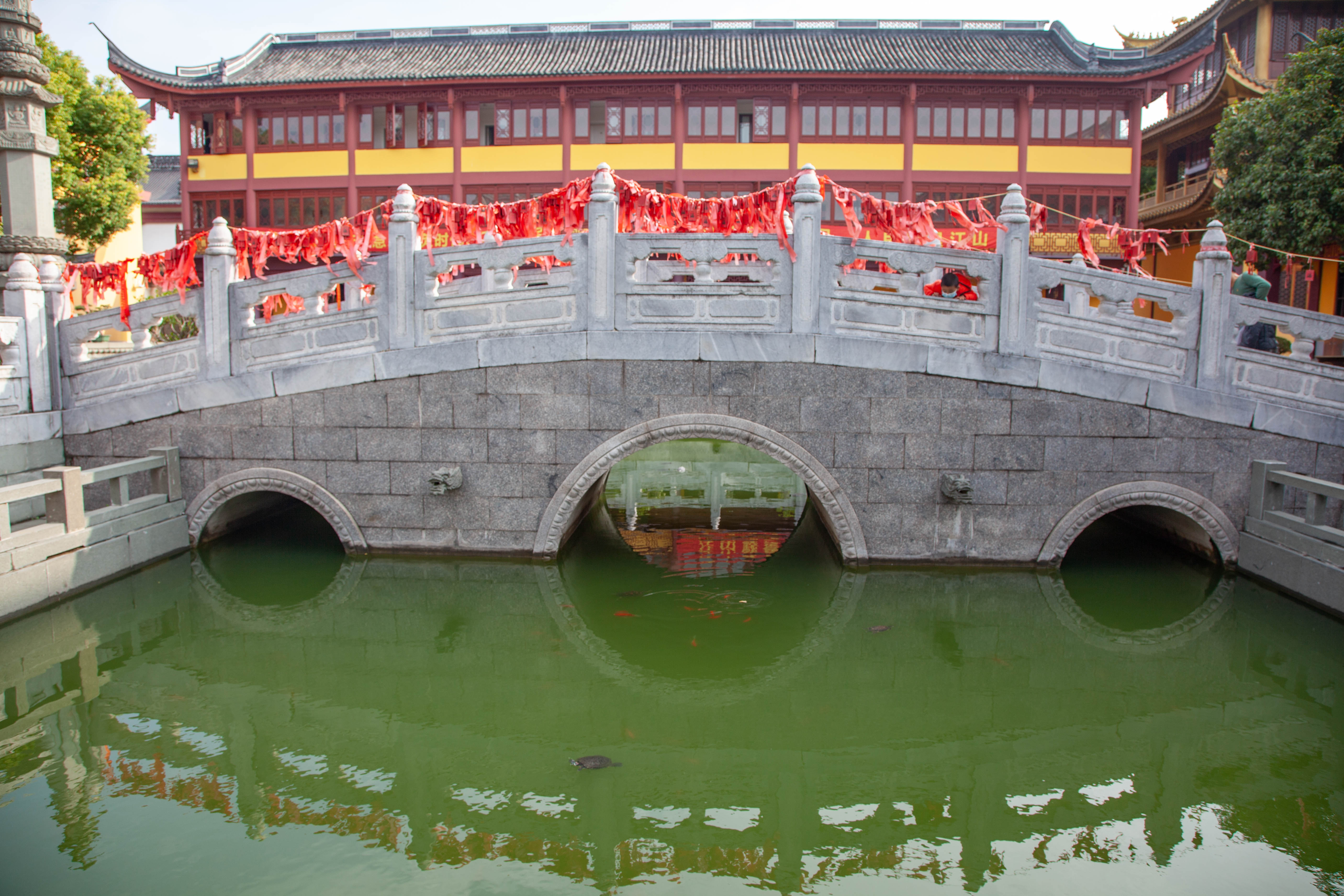 宝山顾村历史,上海宝山顾村老街
