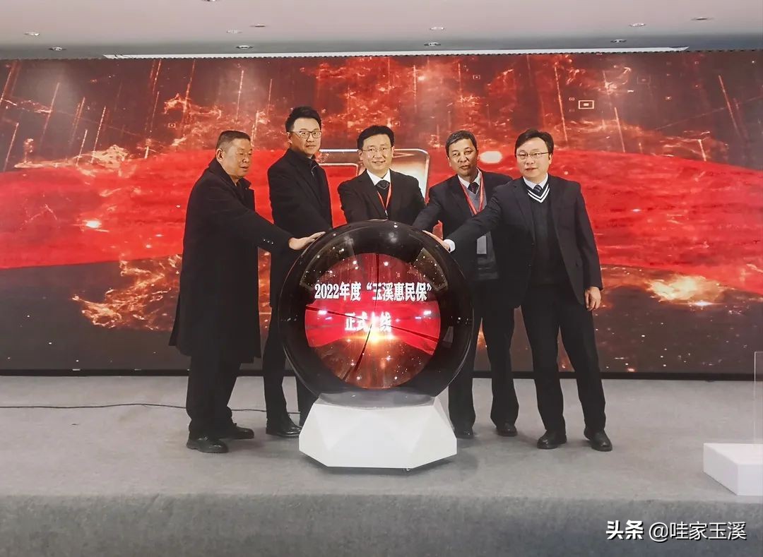 玉溪惠民保可以报哪些费用,玉溪惠民保公众号