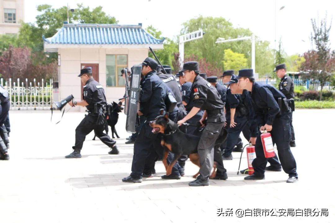 全警实战大练兵开训,全警大练兵体能测试视频