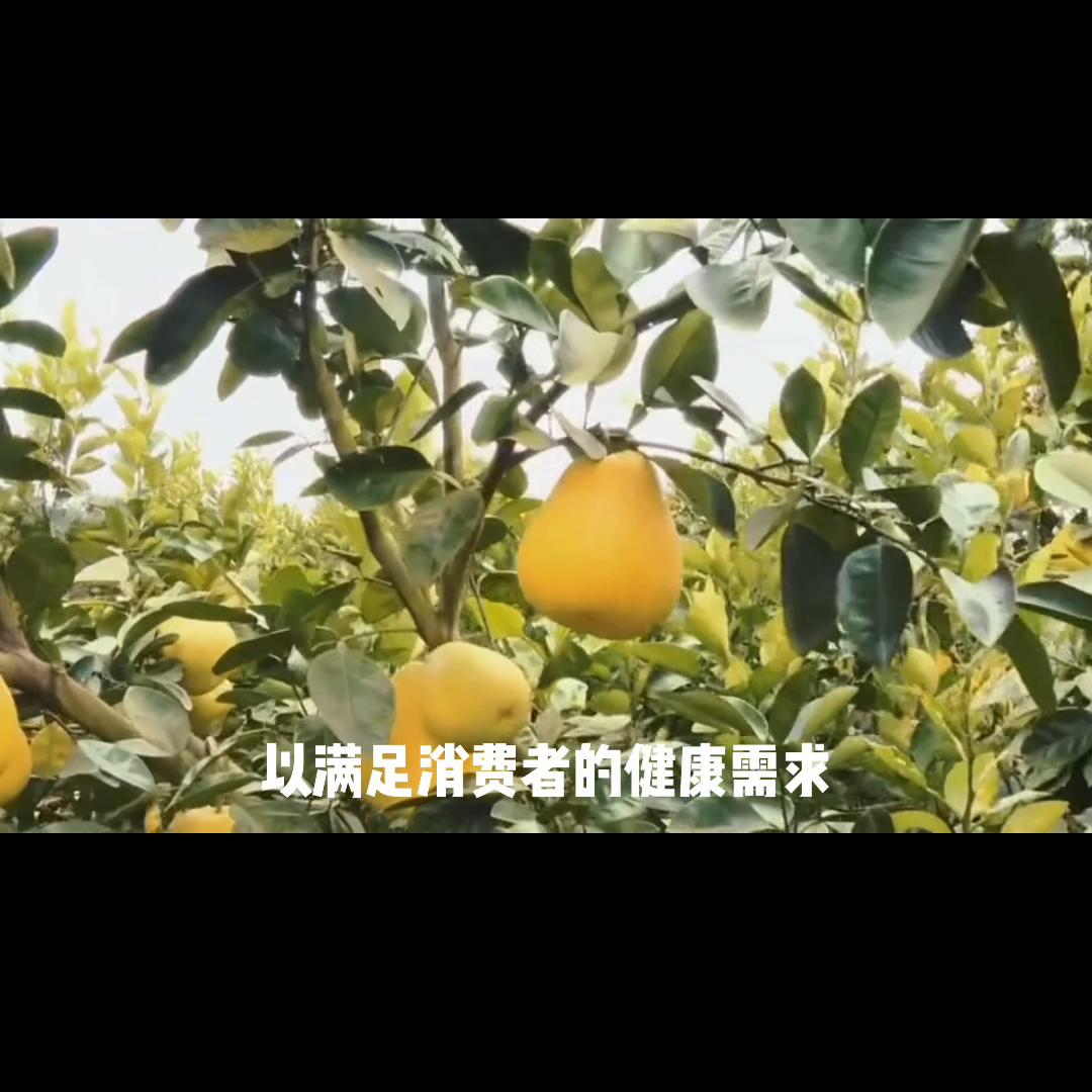 写字楼水果店营销方案,水果店营销方案100例免费