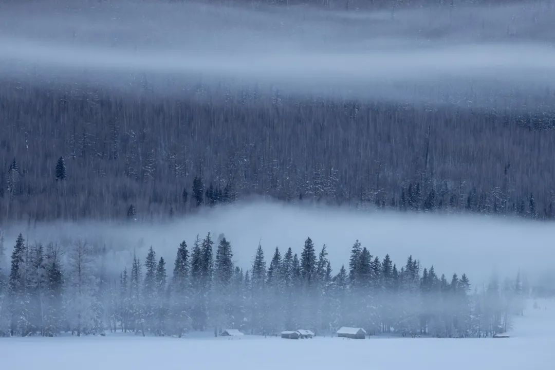 佳能eosr6markii自定义教程,eosr6markii直播设置