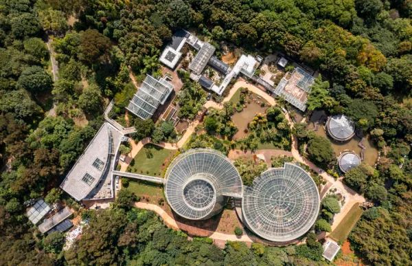 盘龙区新品发布会活动策划,盘龙视频发布会