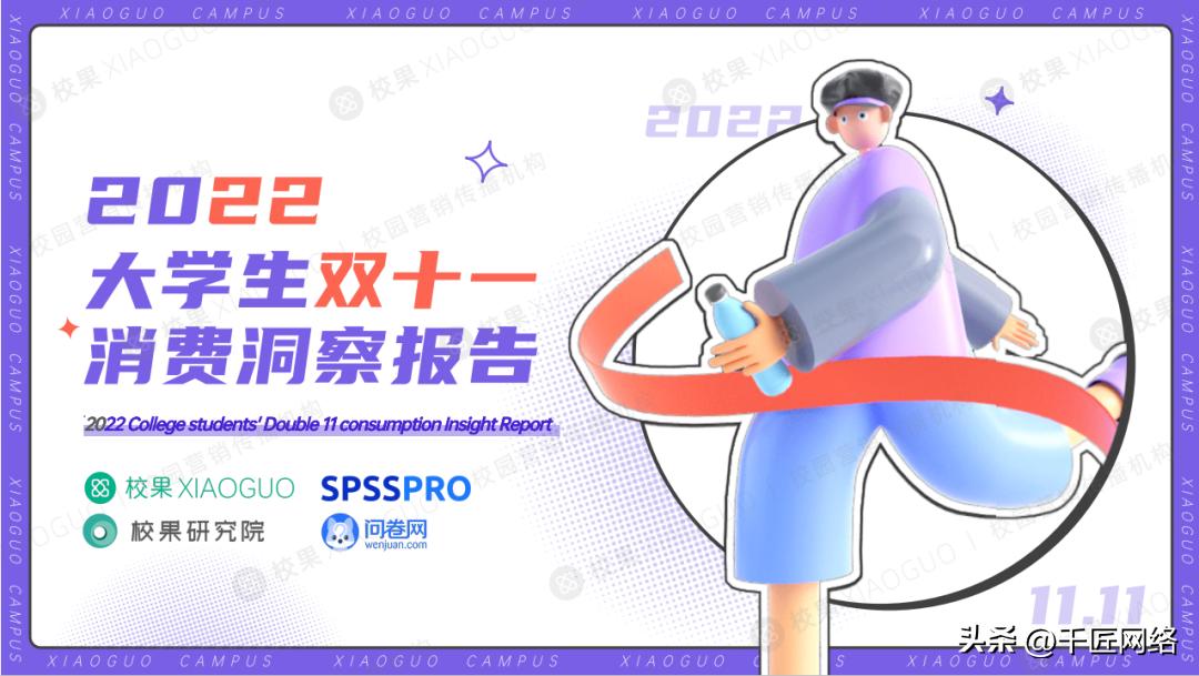 双十一购物狂欢节营销逻辑,双十一购物节营销分析报告