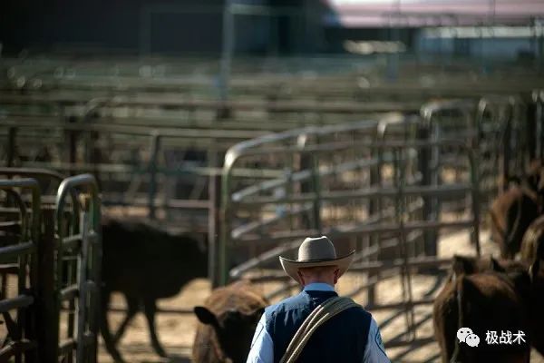 放牛的探员？《黄石》中的执法力量丨武装