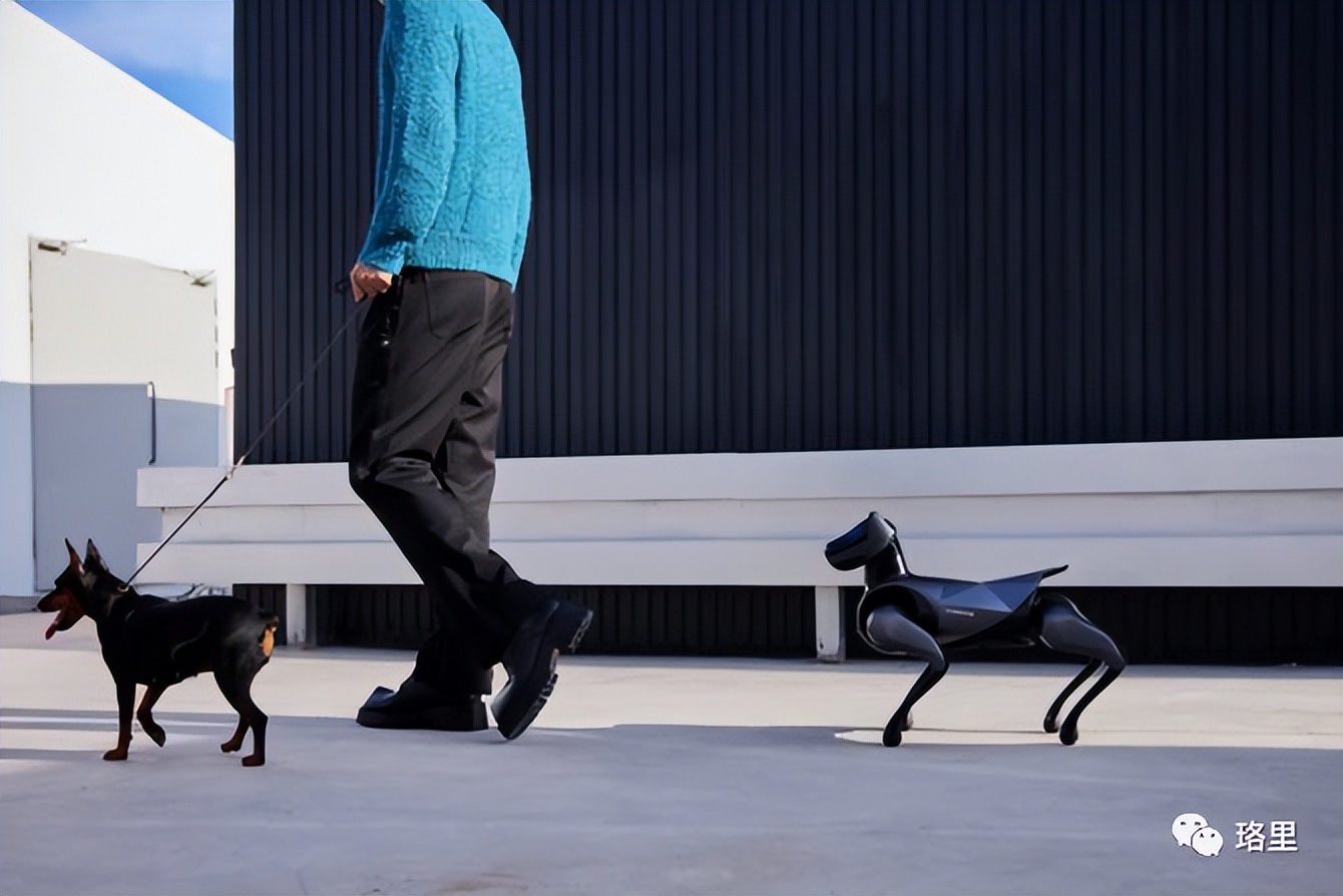 小米cyberdog2爆改导盲犬,小米cyberdog2拆解