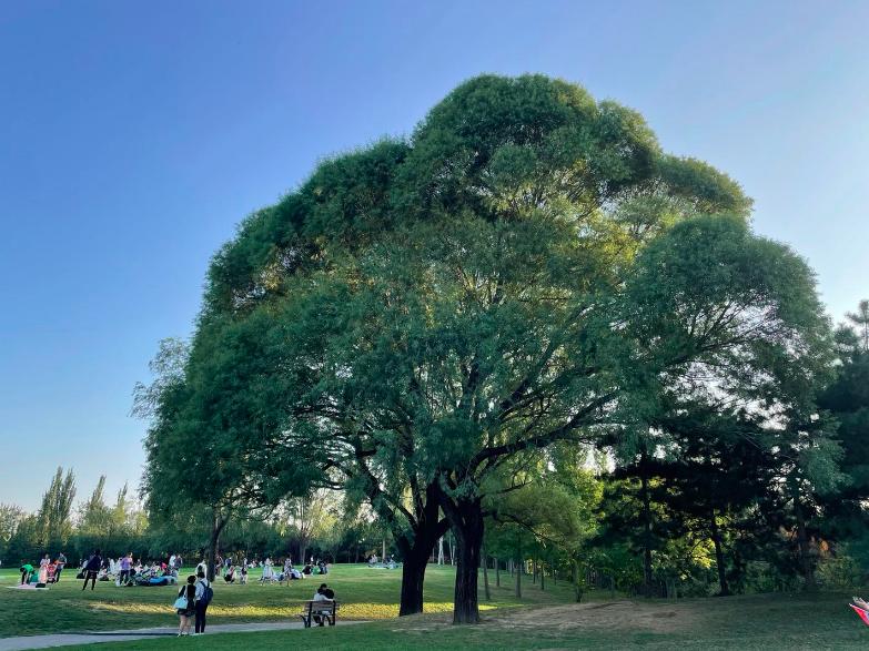北京户外公园,北京周末好去处户外