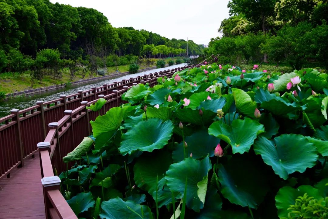 上海市首批市级旅游重点村,上海第四批全国乡村旅游重点村