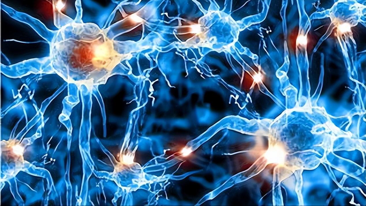 周围神经损伤的分类及潜在治疗方法