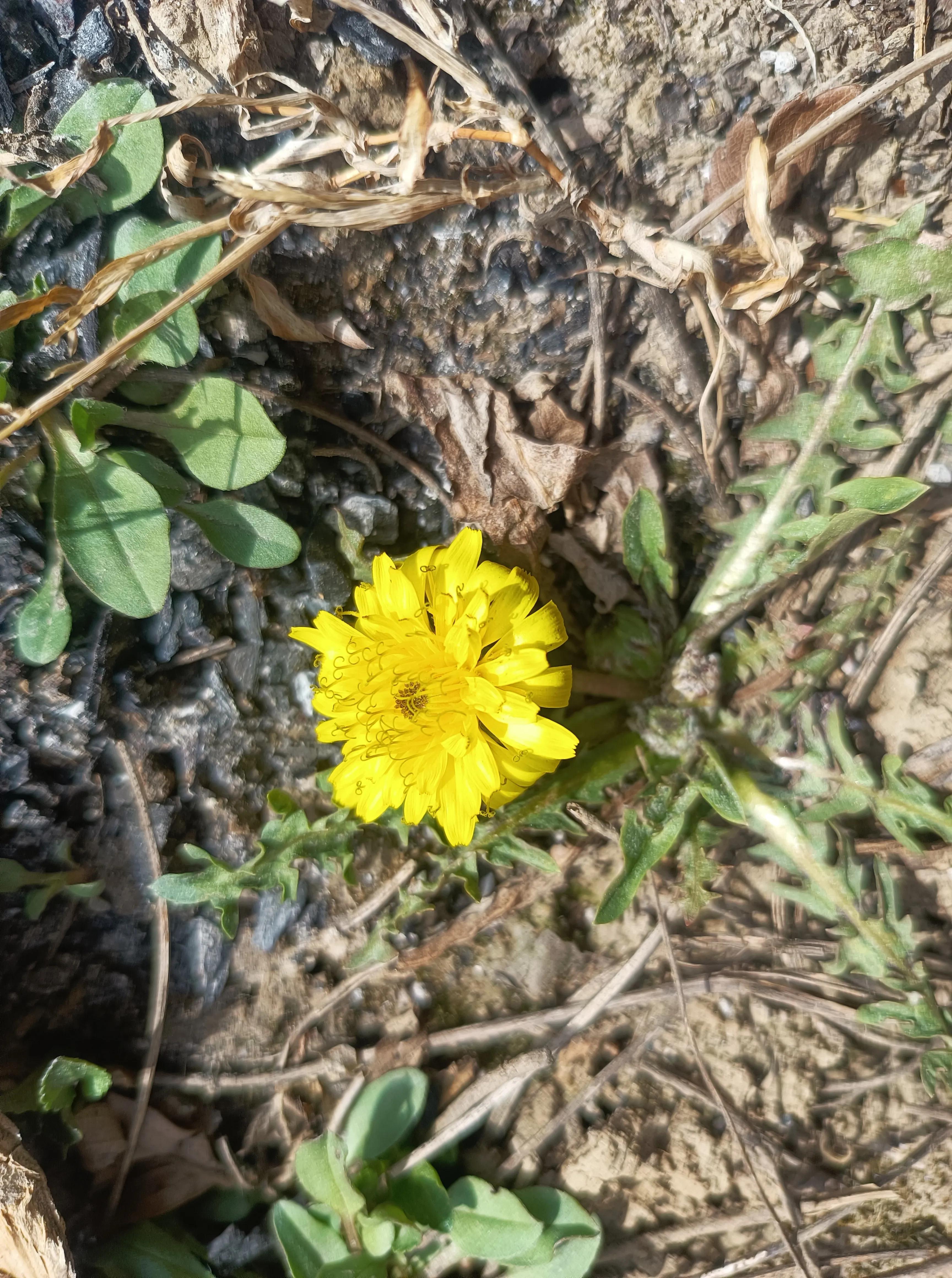 对音乐感兴趣的英语怎么说,听音乐是最好的用英语怎么说