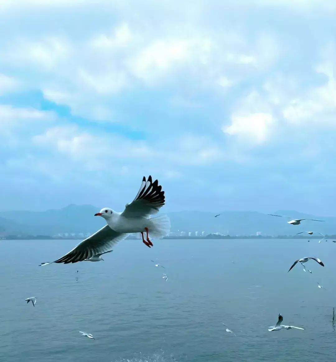 昆明经典人文旅游,带你领略云南古城的魅力