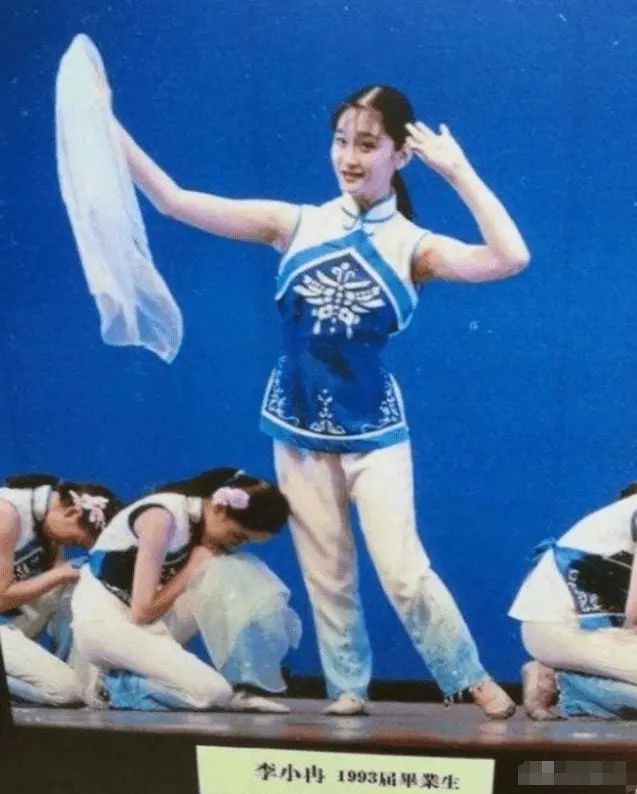 李小冉5个亿,李小冉挣了多少钱了