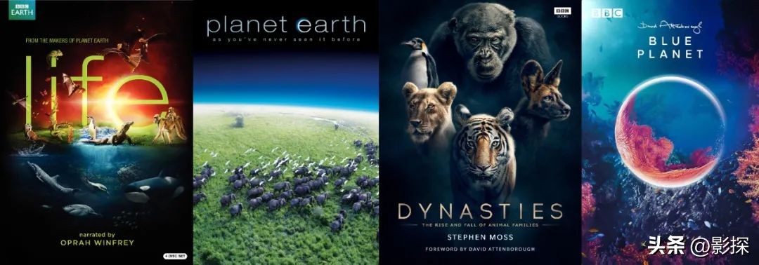 9.3涨到9.5，大神一出手，全网高潮！