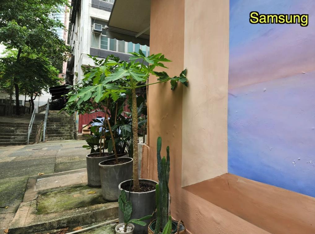 小米12sultra与vivox80pro拍照选哪款,小米12sultra和vivox80pro拍照选哪个