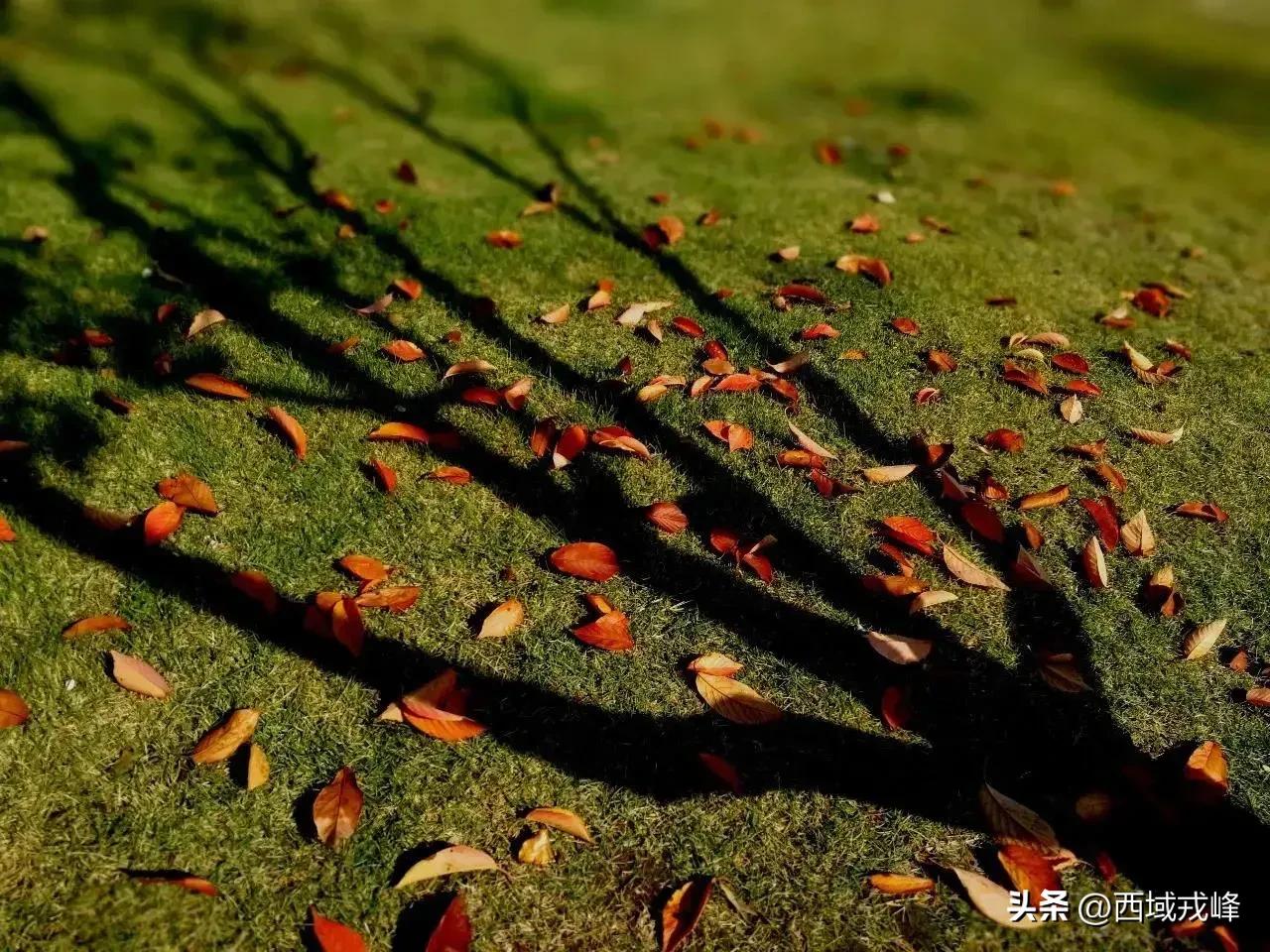 静默日记10:政府有温度群众有信心以文化人让正能量感化每一个人