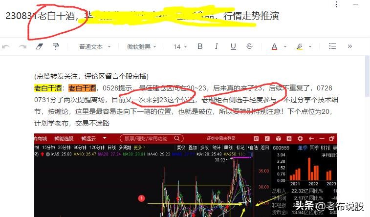 老白干酒600559后市预言,老白干酒600559未来估值分析