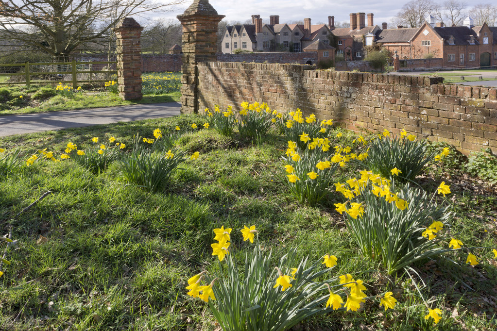 婴儿吃蛋黄致过敏性休克,婴儿吃蛋黄会不会休克