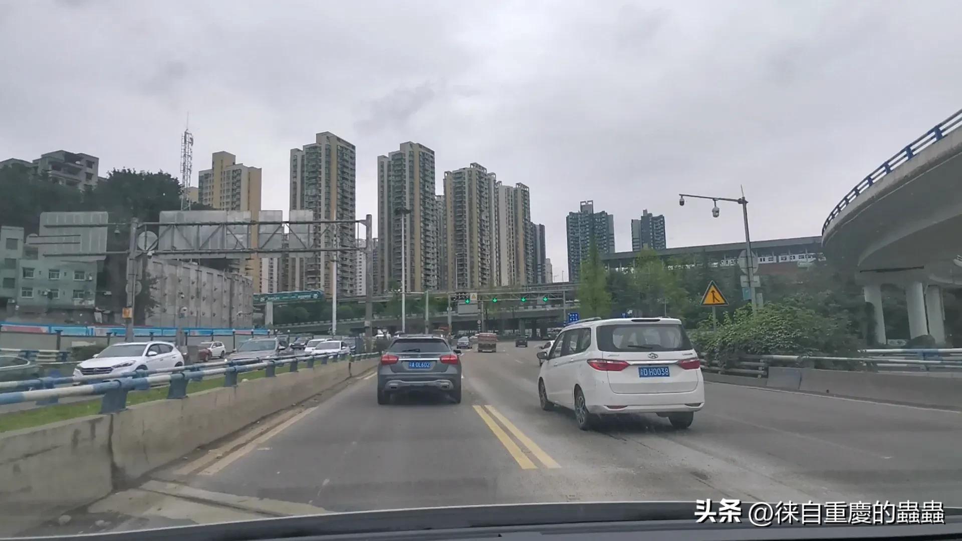 教授出没，风行草偃