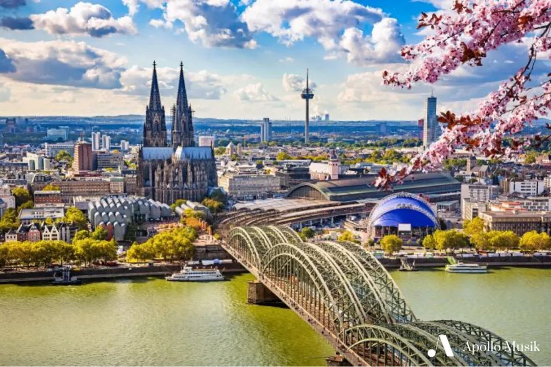 留学必带的东西清单大全,干货艺术留学作品集应该怎么做