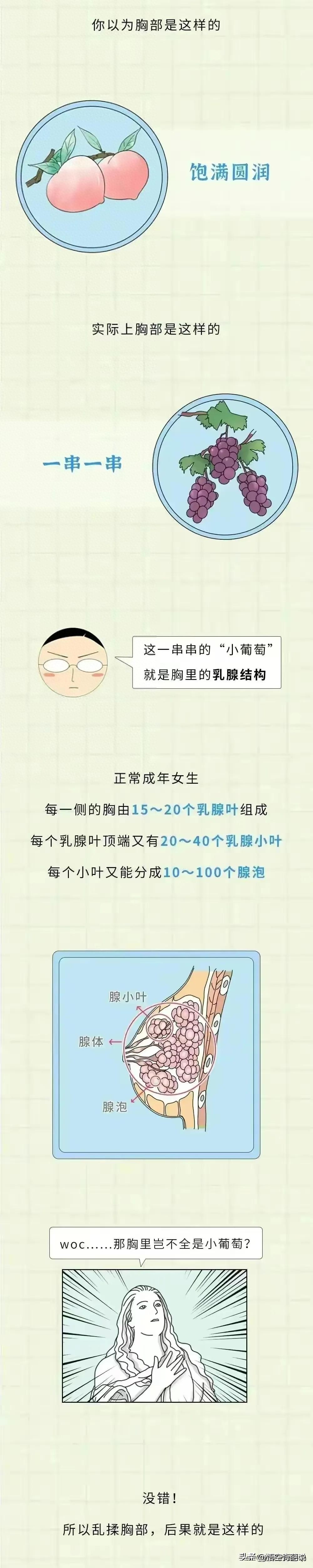 为什么说女人的胸不能乱揉？同房时乱揉会怎么样？