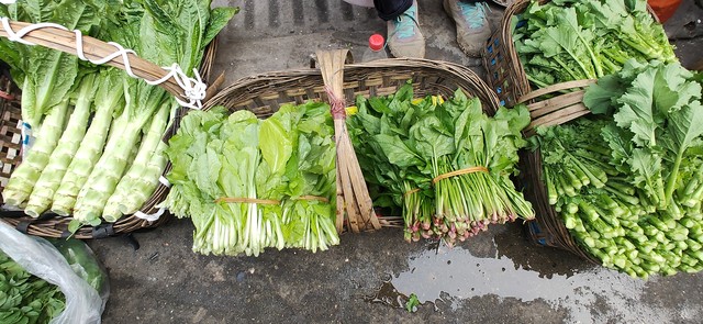 放假回家我给未见过面的侄子一千，弟媳妇嫌少，母亲：把钱收起来