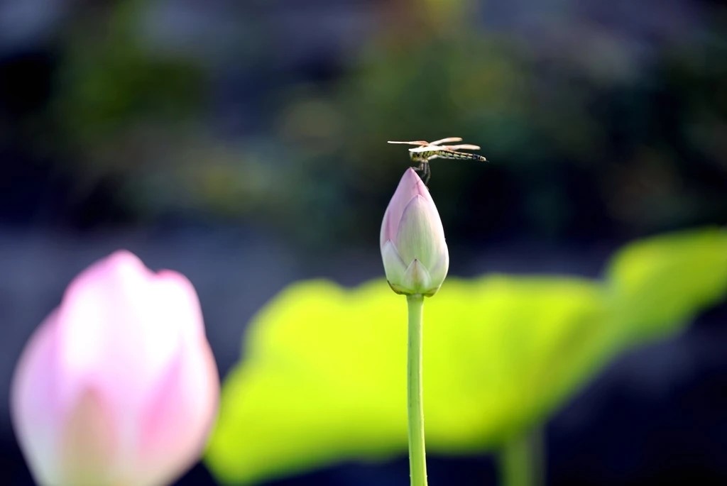 如果你感觉生活很累到底该怎么做,如果你感觉生活很累的时候英文