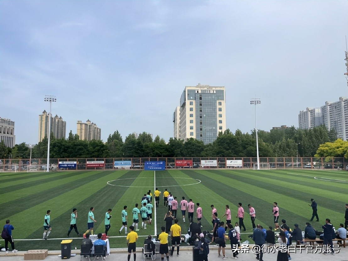 衡水老白干篮球赛,衡水老白干篮球杯