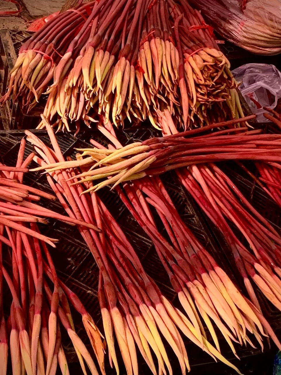 春天来了，“痴花”的您，来彩云之南做个“花吃”吧