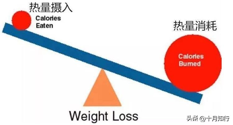 熙媛形体有氧运动14天甩掉大肚腩,男士减大肚腩最快的方法有氧运动
