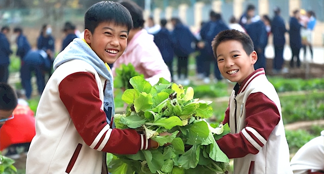 南京宇通实验学校,南京宇通实验学校招生简章