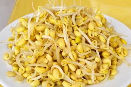 农村自生豆芽教程,在家种手工豆芽怎么做简单方便