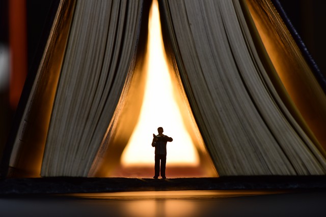 教师师德培训的心得体会,中小学教师师德建设