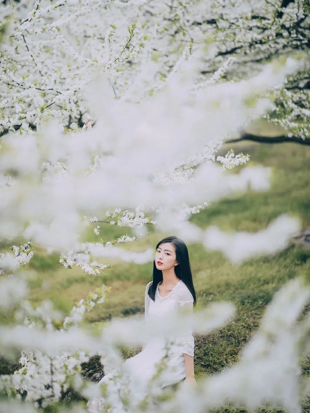 1.5h刹拢！被誉为川版“花城”，这个宝藏好耍地美得不像话