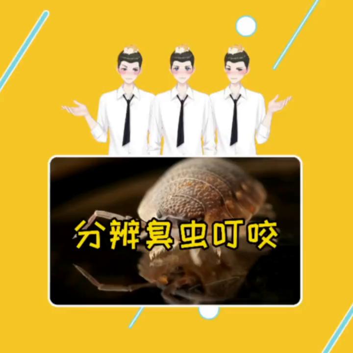 臭虫叮咬消灭小妙招,臭虫怎么消灭教你臭虫防治3步走
