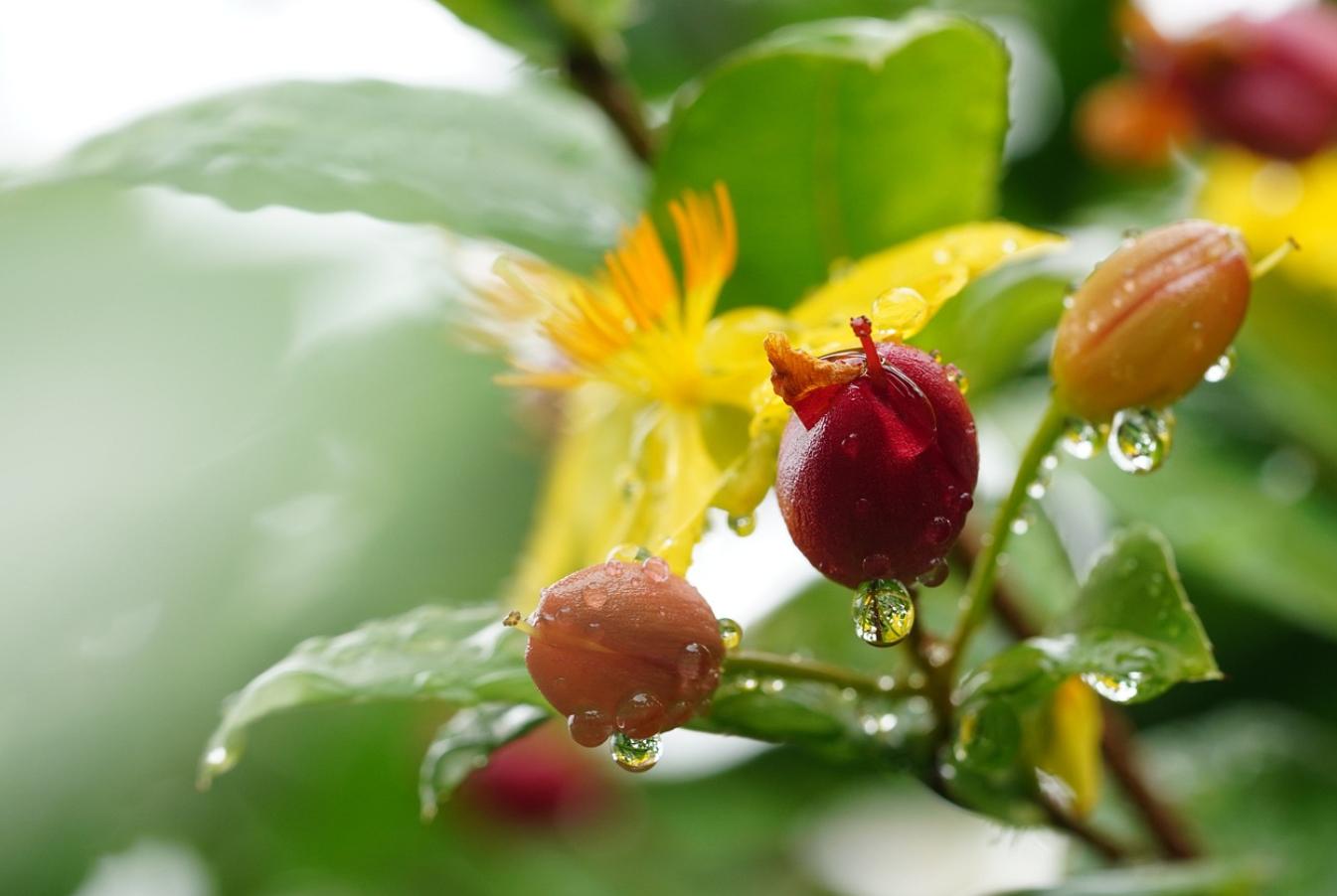 小学900个英语高频词汇,小学核心词汇1000词精讲